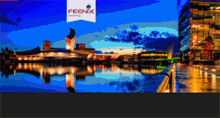 Desktop Screenshot of feenix.co.uk